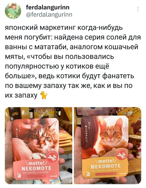 Японский маркетинг когда-нибудь меня погубит: найдена серия солей для ванны с мататаби, аналогом кошачьей мяты, «чтобы вы пользовались популярностью у котиков ещё больше», ведь котики будут фанатеть по вашему запаху так же, как и вы по их запаху.
