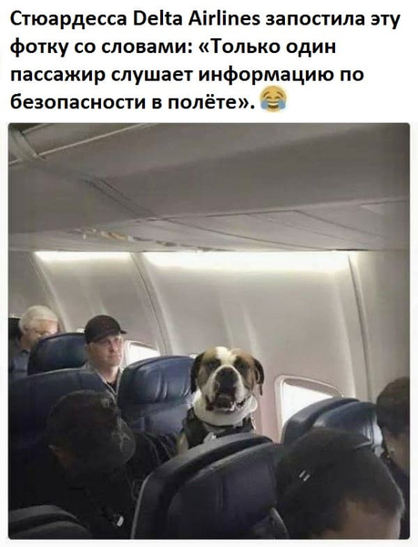 Стюардесса Delta Airlines запостила эту фотку со словами: «Только один пассажир слушает информацию по безопасности в полёте».