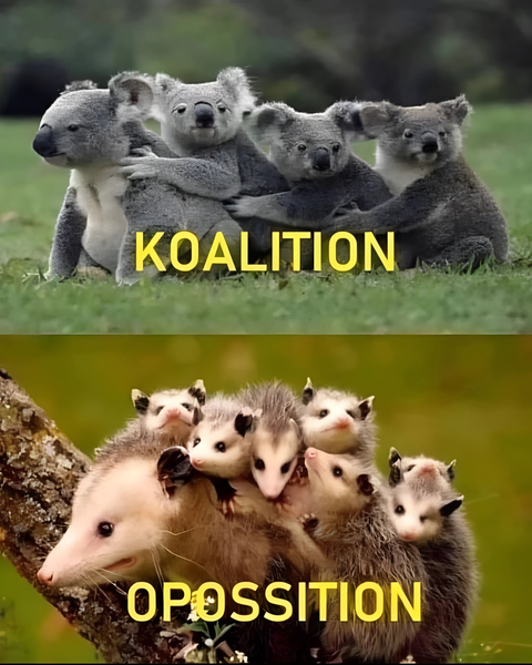 *Koalition & Opossition (Coalition and Opposition)*