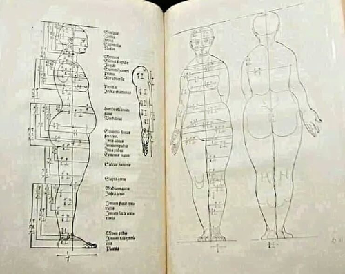 *Идеальные пропорции женского тела по версии Альбрехта Дюрера 1528 года*