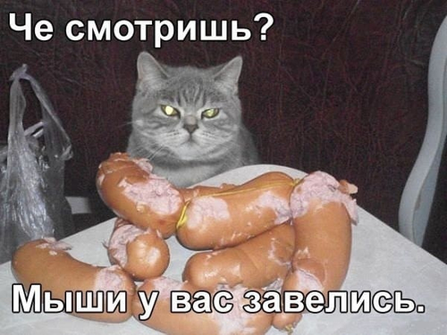 Кот понадкусывавший колбасу:
– Что смотришь? Мыши у нас завелись.