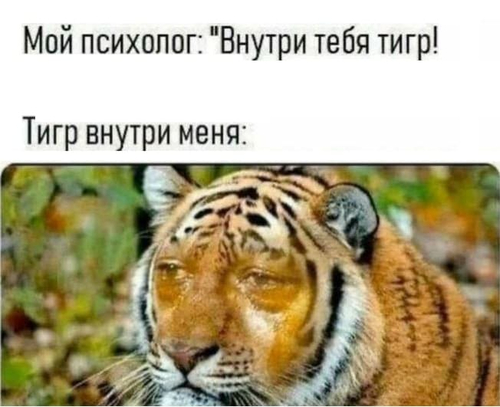Мой психолог: «Внутри тебя тигр!»
Тигр внутри меня: