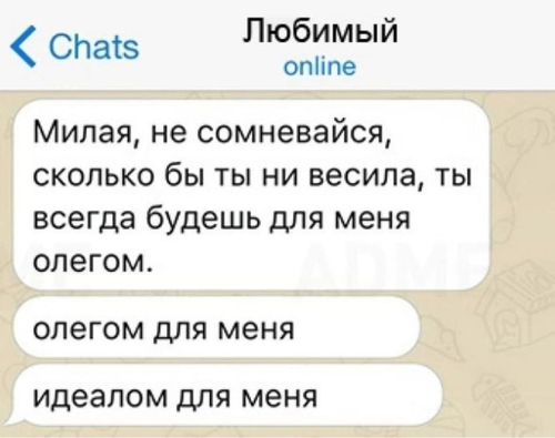 Chats: Любимый online.
– Милая, не сомневайся, сколько бы ты ни весила, ты всегда будешь для меня Олегом.
– Олегом для меня.
– Идеалом для меня.