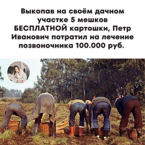 Выкопав на своём дачном участке 5 мешков БЕСПЛАТНОЙ картошки, Петр Иванович потратил на лечение позвоночника 100.000 руб.