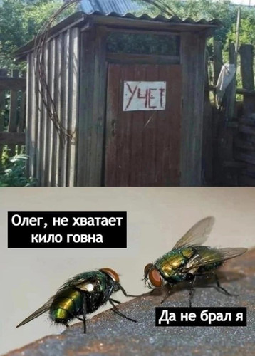 Учёт. Две мухи. Одна:
— Олег, не хватает кило говна.
Вторая:
— Да не брал я.