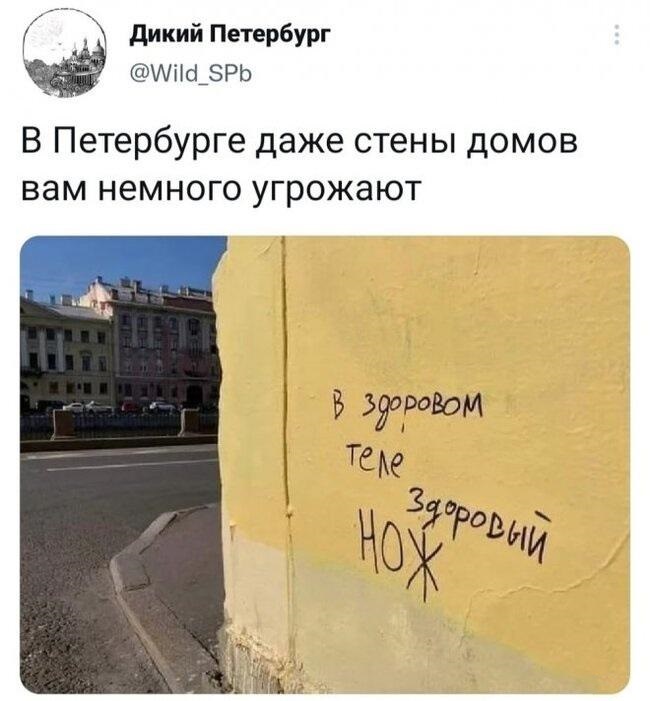В Петербурге даже стены домов вам немного угрожают: «В Здоровом теле – здоровый нож.»