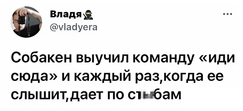 Собакен выучил команду «иди сюда» и каждый раз, когда её слышит, даёт по с**бам.