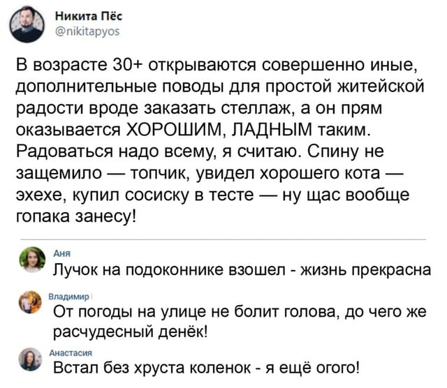 — В возрасте 30+ открываются совершенно иные, дополнительные поводы для простой житейской радости вроде заказать стеллаж, а он прям оказывается ХОРОШИМ, ЛАДНЫМ таким. Радоваться надо всему, я считаю. Спину не защемило — топчик, увидел хорошего кота — эхехе, купил сосиску в тесте — ну щас вообще гопака занесу!
— Лучок на подоконнике взошел - жизнь прекрасна.
— От погоды на улице не болит голова, до чего же расчудесный денёк!
— Встал без хруста коленок - я ещё огого!