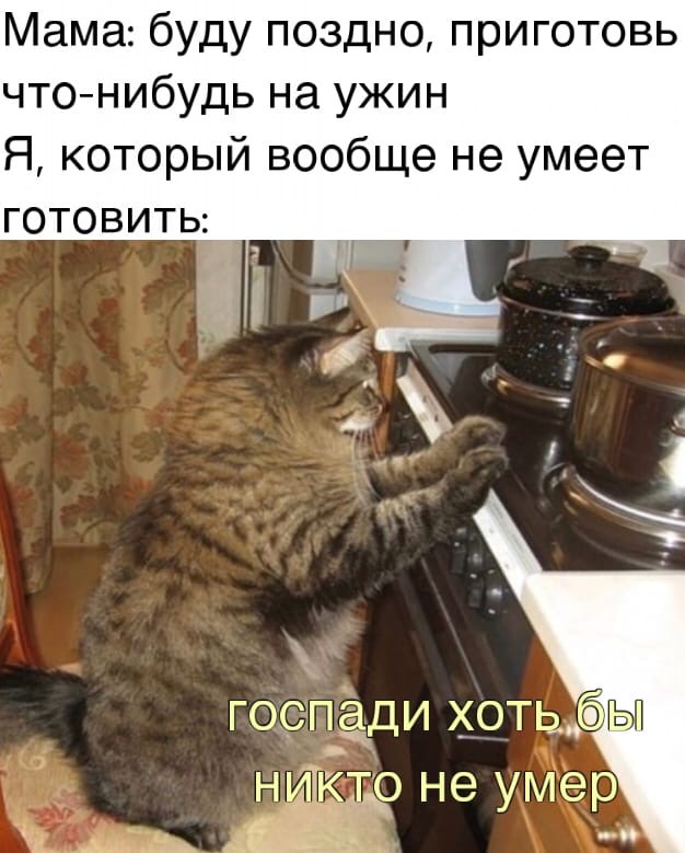 Мама:
— Буду поздно, приготовь что-нибудь на ужин.
Я, который вообще не умеет готовить:
— Господи, хоть бы никто не умер!