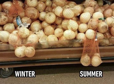 Мужские яички зимой и летом.