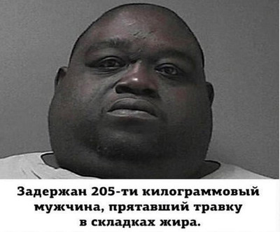 Задержан 205-ти килограммовый мужчина, прятавший травку в складках жира.