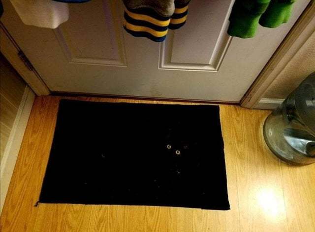 Чёрный кот на чёрном коврике, которого совершенно не видно. Лишь только глаза и видны.
