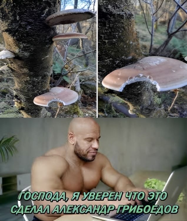 — Господа, я уверен в том, что это сделал Александр Грибоедов.