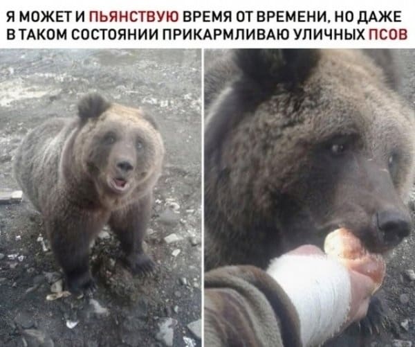 — Я может и пьянствую временами, но даже в таком состоянии, я всё равно прикармливаю уличных бездомных псов.