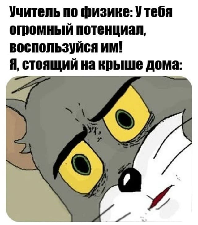 Учитель по физике:
— У тебя огромный потенциал, воспользуйся им!
Я, стоящий на крыше дома: