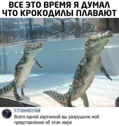 Всё это время я думал, что крокодилы плавают.
Комментарий:
— Всего одной картинкой вы разрушили моё представление об этом мире.
