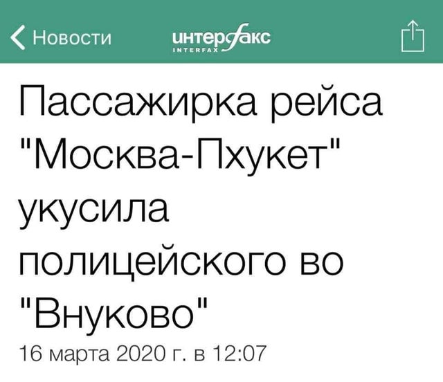 Из новостей: Пассажирка рейса ''Москва-Пхукет'' укусила полицейского во Внуково.