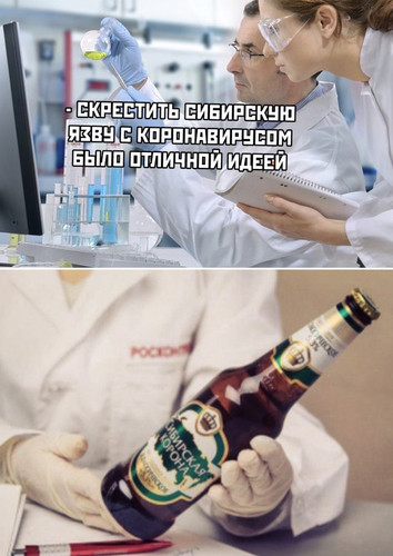 — Скрестить сибирскую язву с коронавирусом было отличной идеей.
— Сибирская корона.