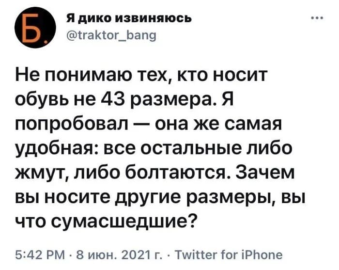 Не понимаю тех, кто носит обувь не 43 размера. Я попробовал — она же самая удобная: все остальные либо жмут, либо болтаются. Зачем вы носите другие размеры, вы что сумасшедшие?
