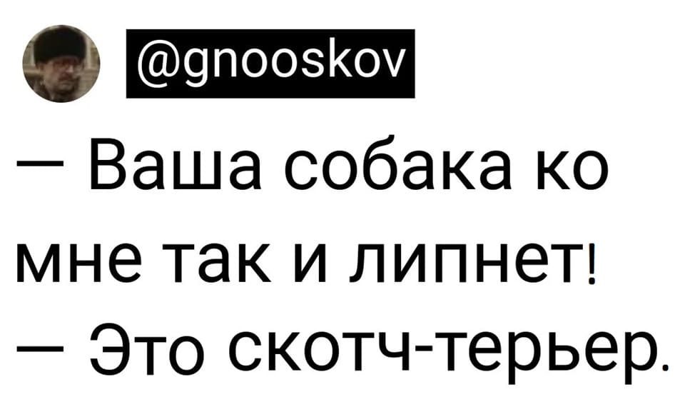 – Ваша собака ко мне так и липнет!
– Это скотч-терьер.