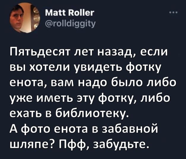 Пятьдесят лет назад, если вы хотели увидеть фотку енота, вам надо было либо уже иметь эту фотку, либо ехать в библиотеку. А фото енота в забавной шляпе? Пфф, забудьте.