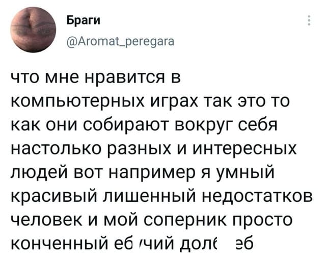 Что мне нравится в компьютерных играх, так это то, как они собирают вокруг себя настолько разных и интересных людей. Вот например я — умный, красивый, лишённый недостатков человек и мой соперник — просто конченный еб*чий долб**б.