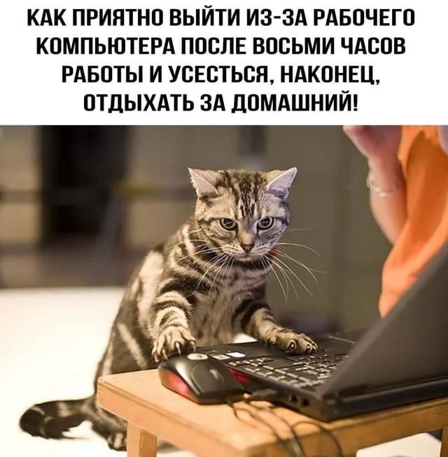 Как приятно выйти из-за рабочего компьютера после восьми часов работы и усесться, наконец, отдыхать за домашний!