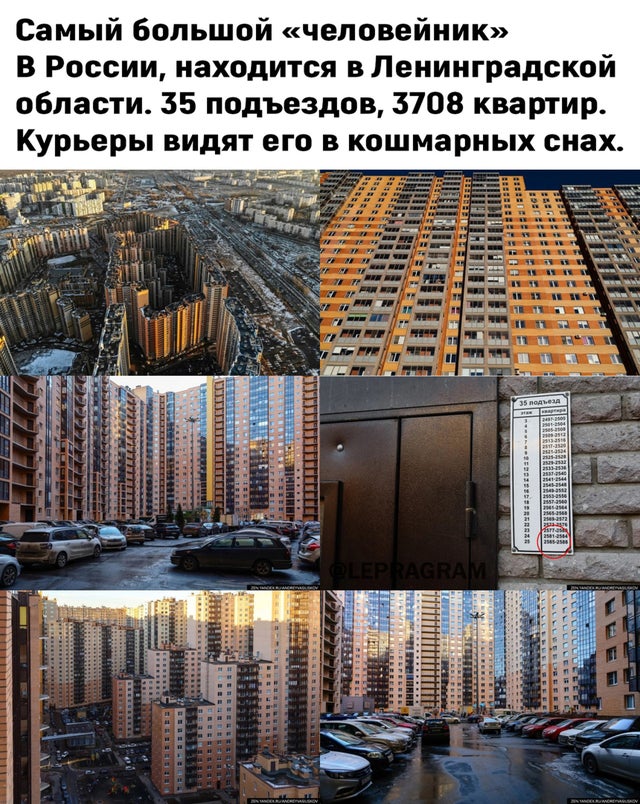 Самый большой «человейник» В России,находится в Ленинградской области. 35 подъездов, 3708 квартир. Курьеры видят его в кошмарных снах.