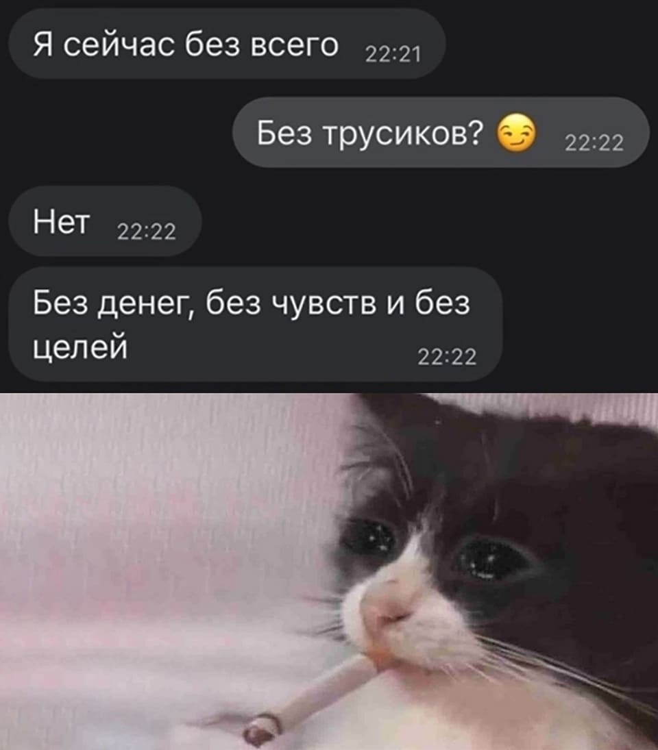 — Я сейчас без всего.
— Без трусиков?
— Нет. Без денег, без чувств и без целей.
