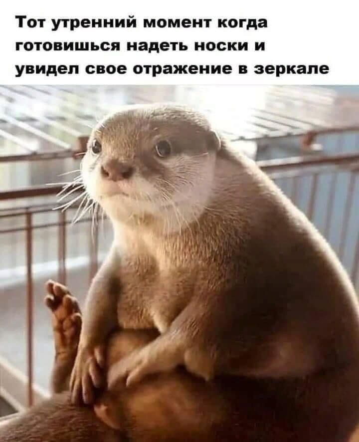 Тот утренний момент когда готовишься надеть носки и увидел свое отражение в зеркале.