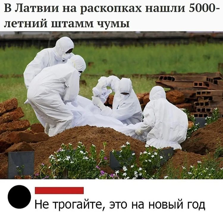 Новости: В Латвии на раскопках нашли 5000-летний штамм чумы.
Комментарий: Не трогайте, это на новый год.