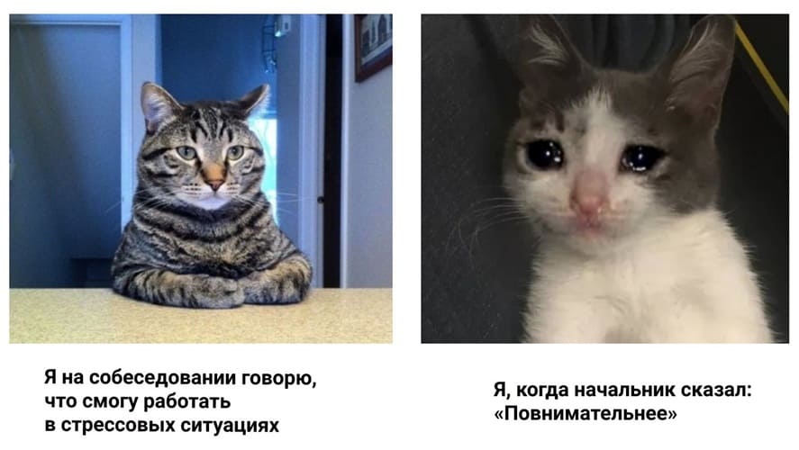 Я на собеседовании говорю, что смогу работать в стрессовых ситуациях.
Я, когда начальник сказал: «Повнимательнее».