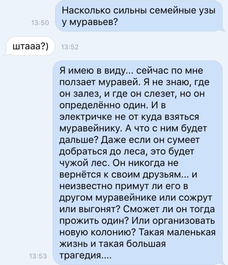 – Насколько сильны семейные узы у муравьев?
– Что?
– Я имею в виду... сейчас по мне ползает муравей. Я не знаю, где он залез, и где он слезет, но он определённо один. И в электричке не от куда взяться муравейнику. А что с ним будет дальше? Даже если он сумеет добраться до леса, это будет чужой лес. Он никогда не вернётся к своим друзьям... и неизвестно примут ли его в другом муравейнике или сожрут или выгонят? Сможет ли он тогда прожить один? Или организовать новую колонию? Такая маленькая жизнь и такая большая трагедия....