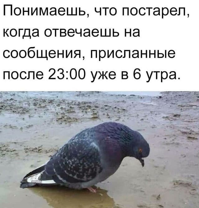 Понимаешь, что постарел, когда отвечаешь на сообщения, присланные после 23:00 уже в 6 утра.