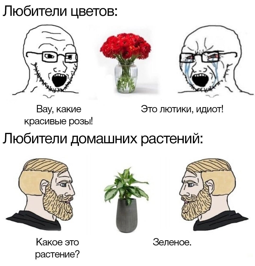 Любители цветов:
— Вау, какие красивые розы!
— Это лютики, идиот!

Любители домашних растений:
— Какое это растение?
— Зелёное.