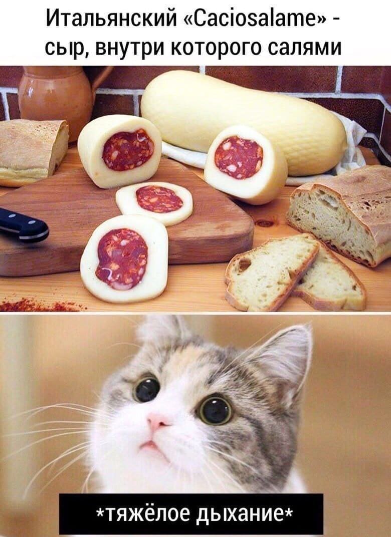 Итальянский «Caciosalame» — сыр, внутри которого салями.
*Тяжёлое кошачье дыхание*