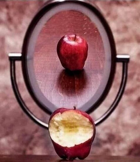 Вся суть селфи наглядно, на яблоке.