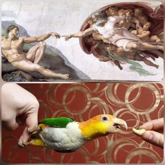 «Сотворение Адама» (итал. La creazione di Adamo) — фреска Микеланджело, написанная около 1511 года.