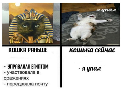 Кошка раньше:
– Управляла Египтом;
– Участвовала в сражениях;
– Передавала почту.
Кошка сейчас:
– Я упал.