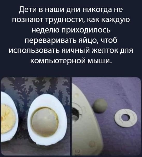 Дети в наши дни никогда не познают трудности, как каждую неделю приходилось переваривать яйцо, чтоб использовать яичный желток для компьютерной мыши.