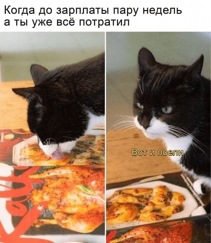 Когда до зарплаты пару недель а ты уже всё потратил:
— Вот и поели...