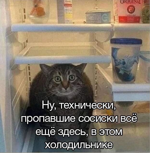Кот, сидя в холодильнике:
— Ну, технически, пропавшие сосиски ещё здесь, в этом холодильнике.