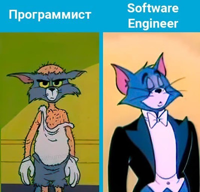 Программист и Software Engineer.