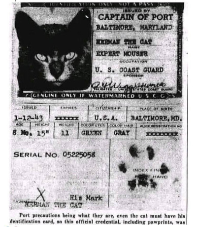 У котов, которые плавали на кораблях до середины 20 века, чтобы ловить грызунов, были паспорта, подписанные отпечатком лапки.