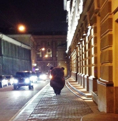 Колоритный медведь на вечерних улицах Санкт-Петербурга...