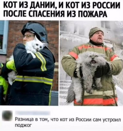 Кот из Дании, и кот из России после спасения из пожара.
*Фото спасённых котов на руках у пожарных спасателей*
— Разница в том, что кот из России сам устроил поджог.