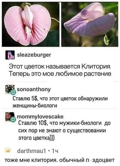 — Этот цветок называется Клитория. Теперь это моё любимое растение!
— Ставлю 5$, что этот цветок обнаружили женщины-биологи.
— Ставлю 10$, что мужики-биологи до сих пор не знают о существовании этого цветка.
— Тоже мне «Клитория». Обычный п*здоцвет.
