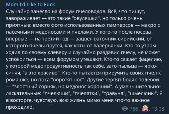 Случайно занесло на форум пчеловодов. Всё, что пишут, завораживает — это такие «овуляшки», но только очень приятные: вместо фото использованных памперсов — макро с пасечными медоносами и пчёлами. У кого-то после посева впервые — на третий год — зацвёл ваточник сирийский, от которого пчёлы прутся, как коты от валерьянки. Кто-то утром ходил по своему клеверу и случайно раздавил пчелу, не может успокоиться — всем форумом утешают. Кто-то сажает фацелию, у которой мёдопродуктивность так себе, зато пыльца — яркосиняя, «а это красиво». Кто-то пытается приручить своих пчёл к ромашке, но пока «воротят нос». Другие терпят бодяк полевой — «злостный сорняк, но медонос хороший». А уменьшительноласкательные: «пчелюши», «пчелятки», «травуня», «шмелюны». Я в восторге, чувствую, всю жизнь мимо меня что-то важное проходило.