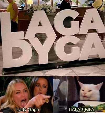 Рекламная надпись-инсталляция: «LADY GAGA»
Кот:
— LAGA DYGA!