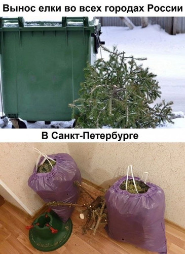 Вынос ёлки во всех городах России и в Санкт-Петербурге.